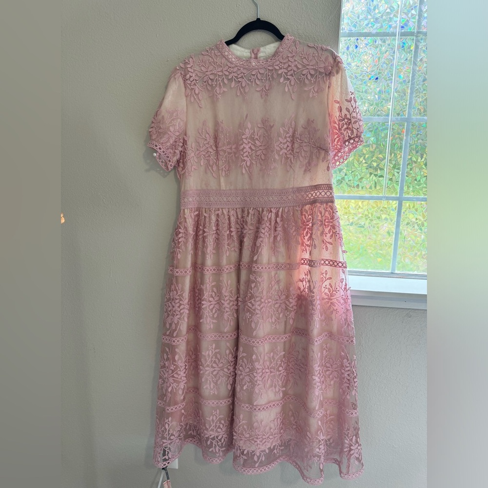 Ivy City Co Pink Lace Dress
